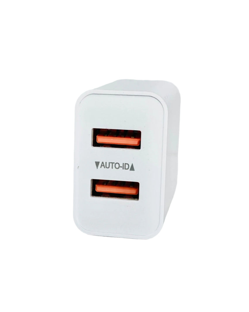 Dual Port Wall Charger