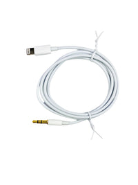 Lightning to Aux Cable